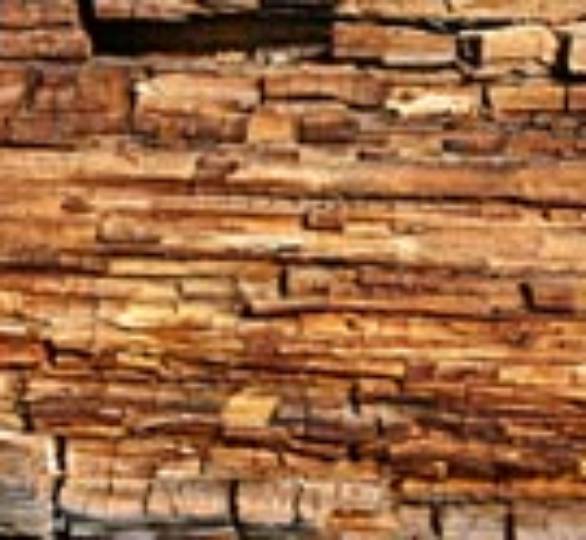 Dry Rot & Timer Treatment – North Devon
